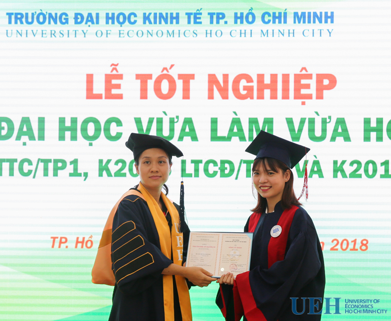 cá cược thể thao hul city